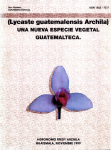 Lycaste guatemalensis Archil