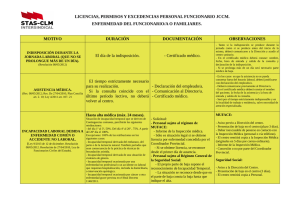 Lapicero Permisos y licencias FUN2014