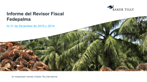 Informe de Revisoria Fiscal 2015