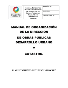 Manual Especifico De Organización y