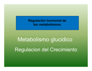 Metabolismo glucidico