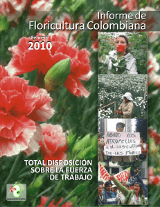 Informe de Floricultura Colombiana