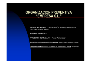 organizacion preventiva “empresa sl