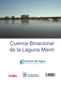 Cuenca Binacional de la Laguna Merin