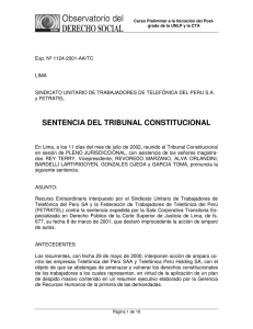 sentencia del tribunal constitucional - Principal