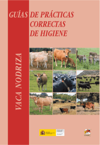 10. Guías de prácticas correctas de higiene vaca nodriza