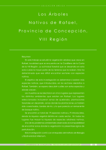 Descargar Publicación - Universidad de Concepción