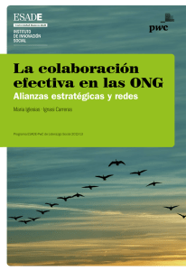 La colaboración efectiva en las ONG