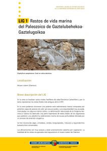 LIG 1 Restos de vida marina del Paleozoico de Gaztelubehekoa