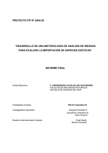 Bajar Informe Final (texto completo) en formato pdf