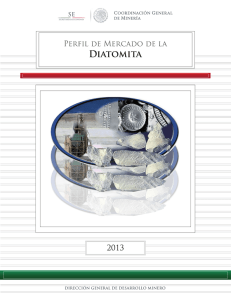 Diatomita 2013 - Secretaría de Economía