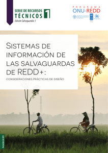 Sistemas de información de las salvaguardas de REDD+