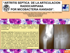 Artritis séptica de la articulación radiocarpiana por