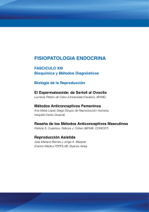 fisiopatologia endocrina