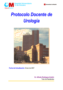 Protocolo Docente de Urología - Asociación Española de Urología