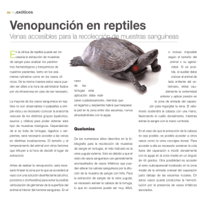Venopunción en reptiles