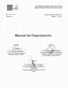 Ver manual de organización en formato PDF