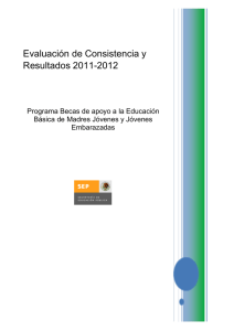 Evaluación de Consistencia y Resultados 2011-2012
