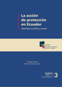 La acción de protección en Ecuador Realidad jurídica y social