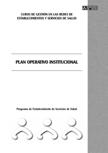 plan operativo institucional