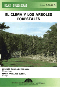 el clima y los arboles forestales