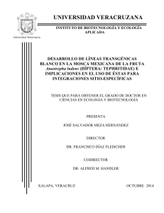 Repositorio Institucional de la Universidad Veracruzana