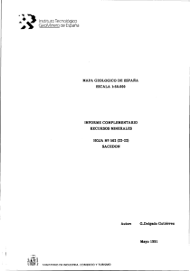 Informe recursos minerales - Catálogo de Información geocientífica