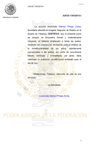 El suscrito licenciado Saúl Martínez Lira, Secretario del Juzgado