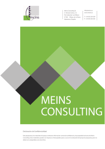 Español - Meins Consulting