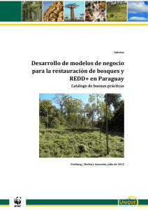 Desarrollo de modelos de negocio para la restauración de bosques