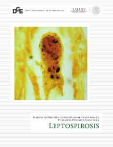 Leptospirosis - Dirección General de Epidemiología
