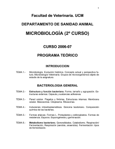 PROGRAMA DE MICROBIOLOGIA