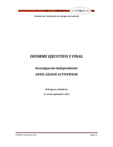 informe ejecutivo y final