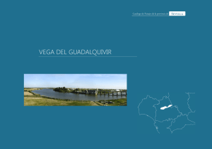 vega del guadalquivir - Centro de Estudios Paisaje y Territorio