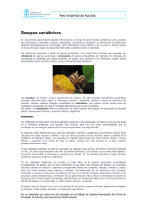 Descargar Bosques cantábricos. - Gobierno del principado de Asturias