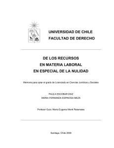 universidad de chile facultad de derecho de los recursos en materia