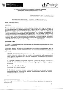 Resolución Directoral General N° 015-2013