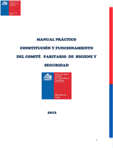 manual de constitución de comités paritarios