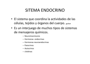 Sistema endocrino - Cirugía de Cabeza y Cuello