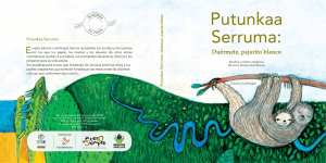Putunkaa Serruma - Instituto Colombiano de Bienestar Familiar