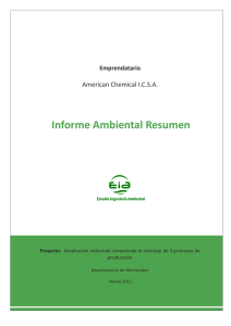 Informe Ambiental Resumen