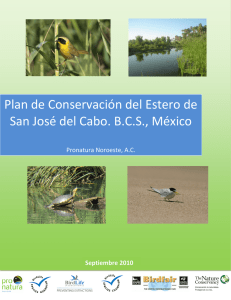 Plan de Conservación del Estero de San José del Cabo. BCS, México