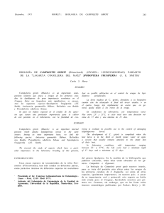BIOLOGÍA DE CAMPOLETIS GRIOTI (Blanchard) (HYMEN