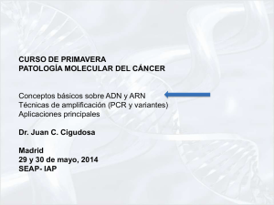 (PCR y variantes).