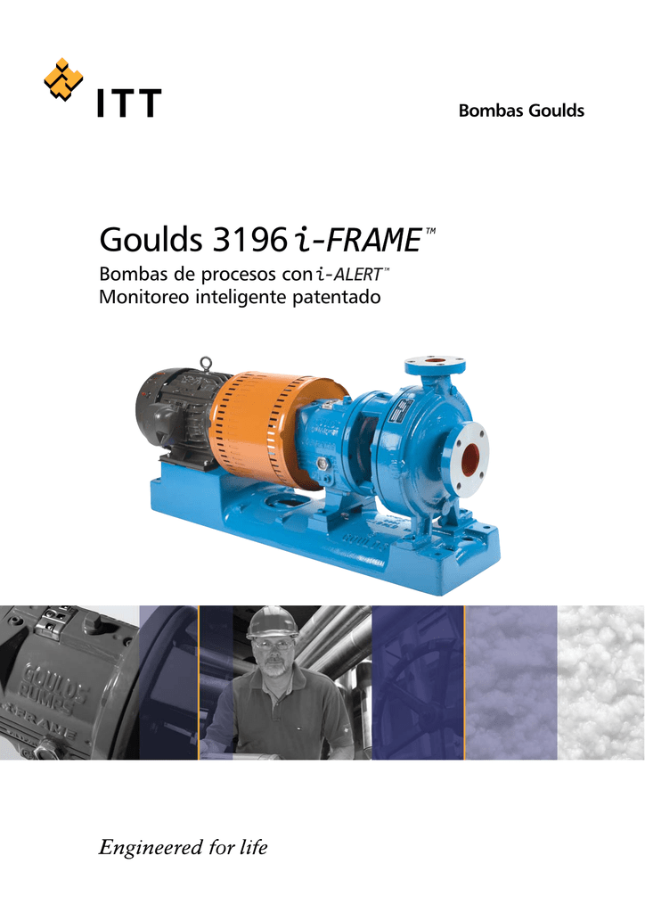 Goulds 3196 BOMBAS Y SUMINISTROS DEL NORTE Solución En
