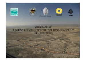 sitio ramsar: lagunas de guanacache, del desaguadero y del