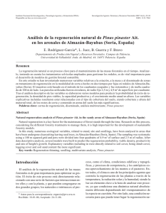 Análisis de la regeneración natural de Pinus pinaster Ait.