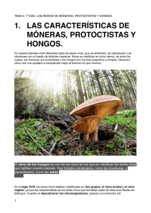 Tema 7. Móneras, protoctistas y hongos.