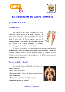 BASES BIOLÓGICAS DEL CUERPO HUMANO (II)
