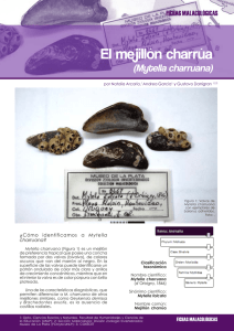 Boletin Biologica 24 (Ficha Malacologia).pmd